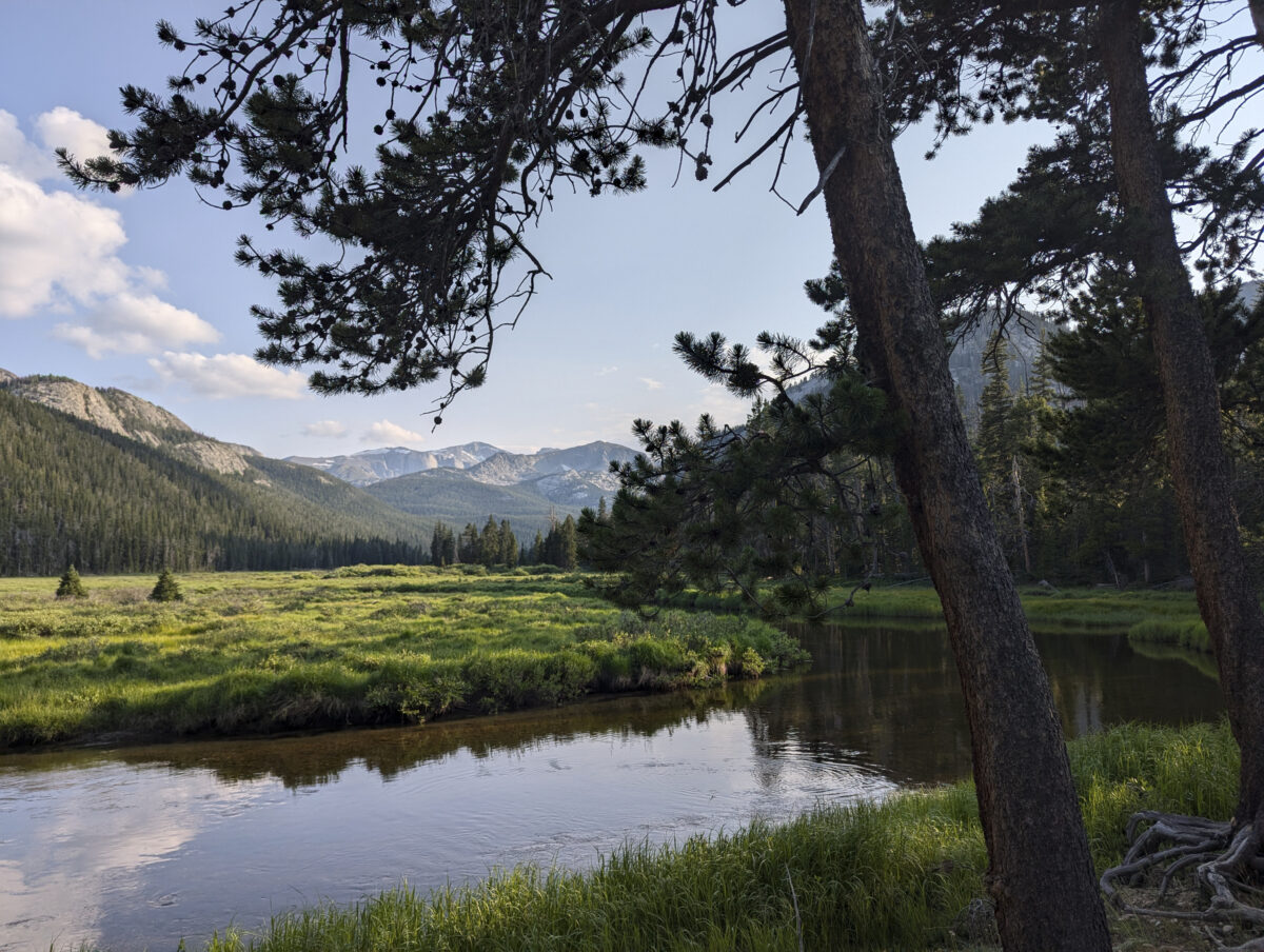 Scean in the Wind River Mountains; small body of water in foreground surrounded by lush grasses and pines with mountains and blue sky in background.