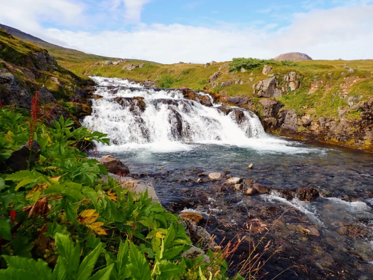 Waterfall in Iceland