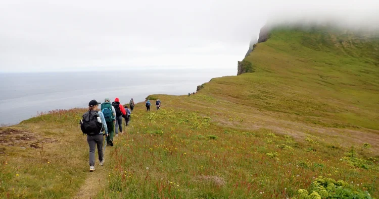 Hikers walk along the sea in Iceland