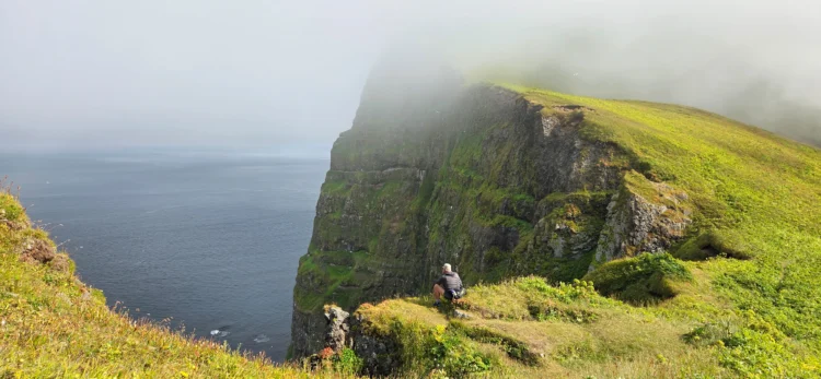 Cliffs in Iceland