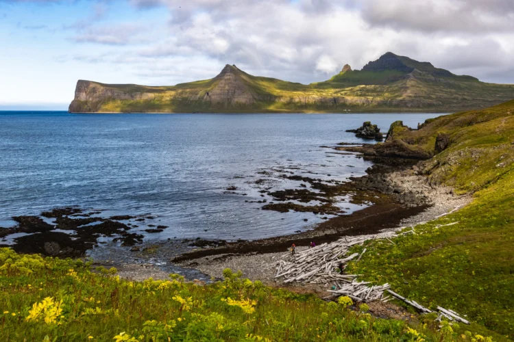 The sea and beaches in Iceland