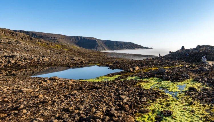Photo of tundra, rock, and water in Iceland