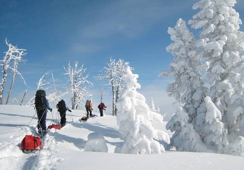 matt_burke_tv_023.jpg__555x343_q70_crop_subject_location-887,1034_subsampling-2 Four winter participants pull gear sleds uphill past snow-laden trees on a sunny day in Teton Valley.