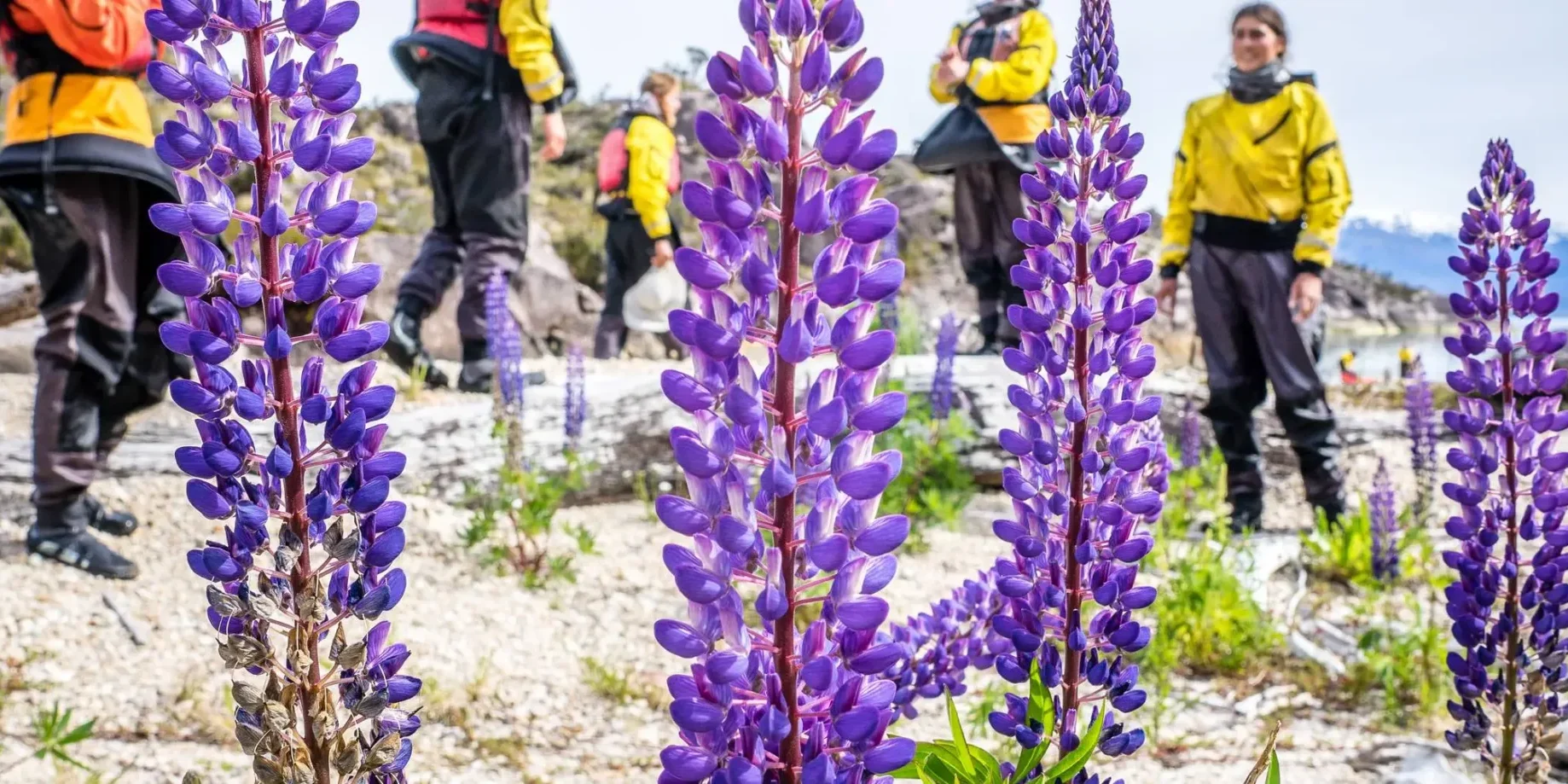 oscar_manguy_pat-68 Oscar Manguy